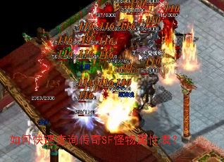 ��ο��ٲ�ѯ����SF�������Ա���