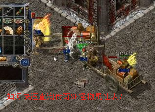 ��ο��ٲ�ѯ����SF�������Ա���