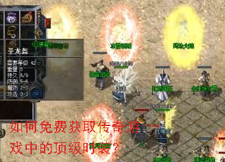 �����ѻ�ȡ������Ϸ�еĶ���ʱװ��