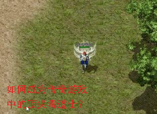 如何成为传奇游戏中的顶尖毒道士? 如何成为传奇游戏中的顶尖毒道士?