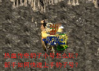 热血传奇豹子小号怎么玩?新手如何快速上手豹子号? 热血传奇豹子小号怎么玩?新手如何快速上手豹子号?