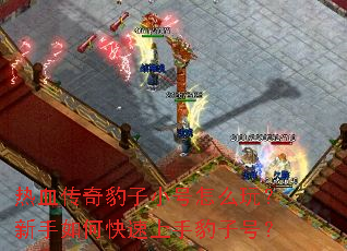 热血传奇豹子小号怎么玩?新手如何快速上手豹子号? 热血传奇豹子小号怎么玩?新手如何快速上手豹子号?