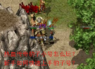 热血传奇豹子小号怎么玩?新手如何快速上手豹子号? 热血传奇豹子小号怎么玩?新手如何快速上手豹子号?