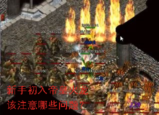 新手初入帝皇火龙该注意哪些问题? 新手初入帝皇火龙该注意哪些问题?
