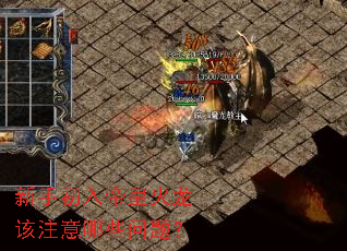 新手初入帝皇火龙该注意哪些问题? 新手初入帝皇火龙该注意哪些问题?