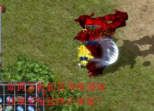 ��������¿�������Ϸ�����ܼ��¿������飿