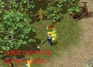 ���Ӧ�Դ���˽��������ϵͳ��ս��