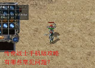 ����սʿ�ֻ��湥������Щ�������⣿