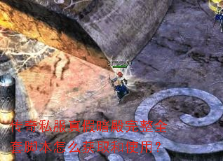 ����˽����ٰ�������ȫ�׽ű���ô��ȡ��ʹ�ã�