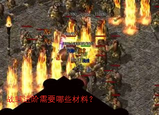 ս�Ľ�����Ҫ��Щ���ϣ�