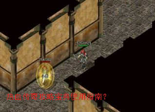 ��Ѫ���湥�Ա���ʹ��ָ�ϣ�