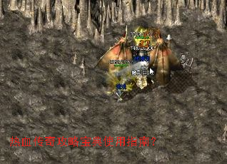 ��Ѫ���湥�Ա���ʹ��ָ�ϣ�