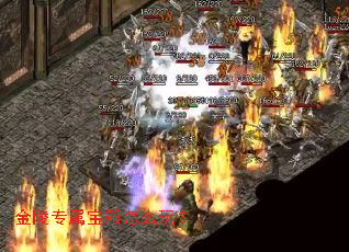 ����ר��������ô�棿