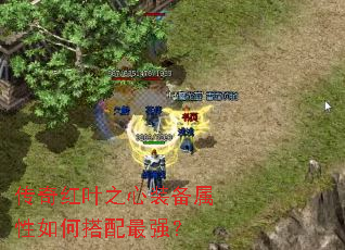 �����Ҷ֮��װ��������δ�����ǿ��