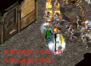 如何快速提升神魔仙尊传奇私服角色等级? 如何快速提升神魔仙尊传奇私服角色等级?