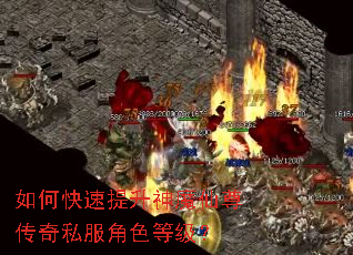 如何快速提升神魔仙尊传奇私服角色等级? 如何快速提升神魔仙尊传奇私服角色等级?