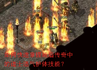 ��ο������ն�ü�����еĵ�ʿ�������弼�ܣ�