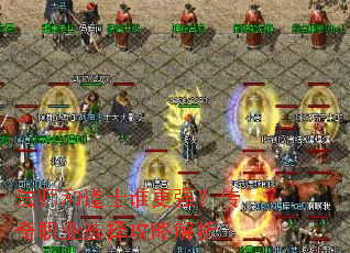 ��ʦ�͵�ʿ˭��ǿ������ְҵѡ���Խ���