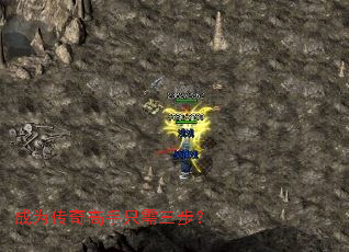 ��Ϊ�������ֻ��������