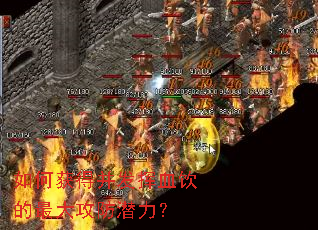 ��λ�ò�����Ѫ������󹥷�Ǳ����