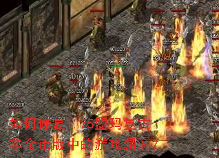 ����޸�1.75���긴�ŷǽ�Ұ��е���Ϸ©����