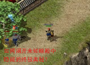 ��νҿ�δ֪���������ص��ռ����أ�