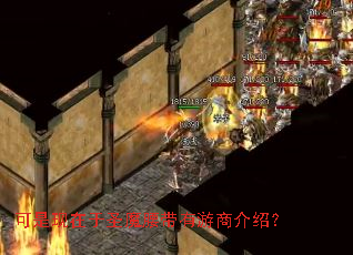 ����������ʥħ���������̽��ܣ�