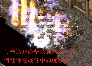 ������Ϸ�ر�ҩƷ��ȫ�����������ս�����绢����