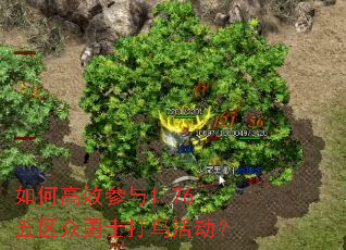 ��θ�Ч����1.76��������ʿ������