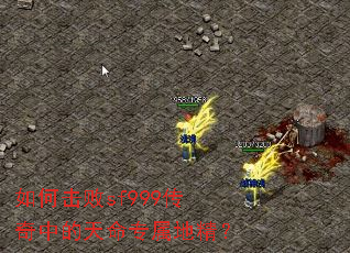 ��λ���sf999�����е�����ר���ؾ���