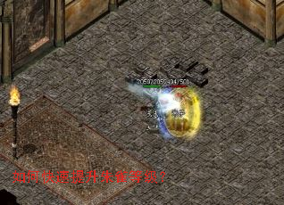 ��ο���������ȸ�ȼ���