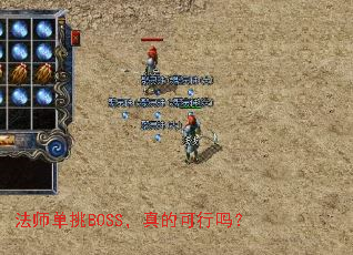 ��ʦ����BOSS����Ŀ�����