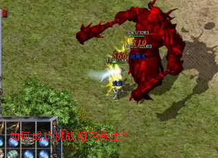 ��γɹ���ս���������