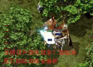 ���������ϷЧ�ʣ�������ͼ��BOSS����ȫ����