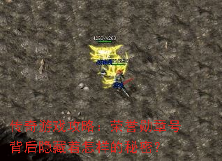 ������Ϸ���ԣ�����ѫ�ºű������������������ܣ�