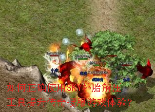 �����ȷʹ��SKY��̥��ѹ�������������ѷ���Ϸ���飿