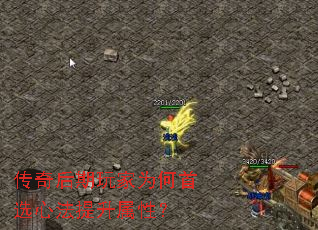 ����������Ϊ����ѡ�ķ��������ԣ�