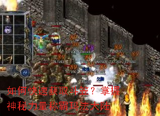 ��ο��ٻ�ȡ���ң��������������ư��귨��½