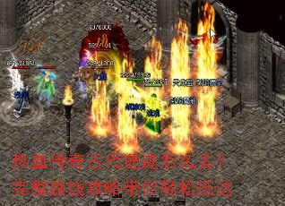 ��Ѫ����Ŵ��ż���ôȥ������·�߹��Դ������ɵִ�