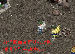 ��ֻ�Ѫ��δӱ�����������������������