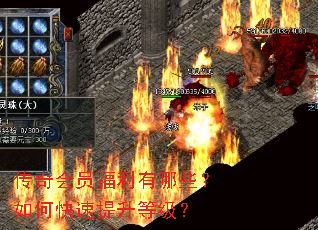 �����Ա��������Щ����ο��������ȼ���