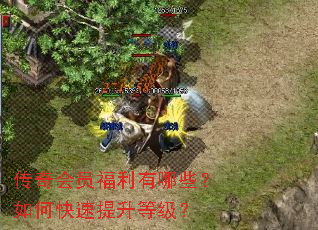 �����Ա��������Щ����ο��������ȼ���