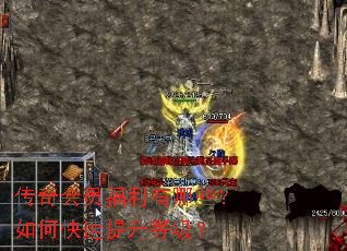 �����Ա��������Щ����ο��������ȼ���