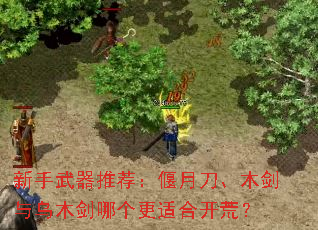 ���������Ƽ������µ���ľ������ľ���ĸ����ʺϿ��ģ�