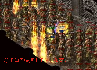 ������ο���������Ѫ���棿