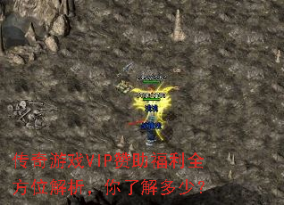 ������ϷVIP��������ȫ��λ���������˽���٣�