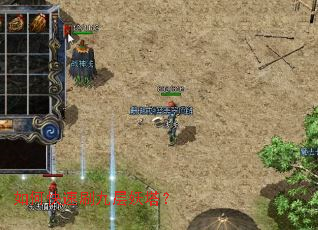 ��ο���ˢ�Ų�������