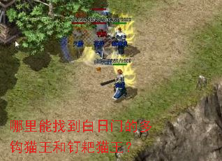 �������ҵ������ŵĶ๳è���Ͷ���è����