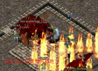 սʿս��Ӧ�����ȡʤ��