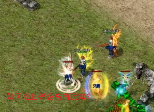 ���սʤ�ȼ��ߵ���ң�